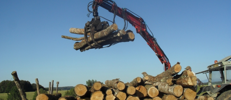 Réussir sa coupe de bois en toute sécurité Actualités – Leborgne